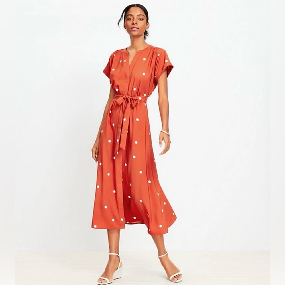 NWT loft polka dot dress